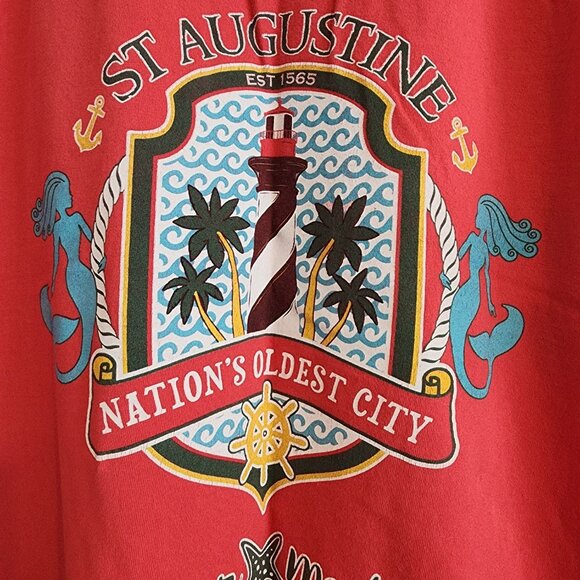 Comfort Colors and Simply Southern XL Tshirt Bundle - Used - Picture 7 of 10